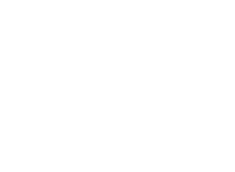 MISP MISP